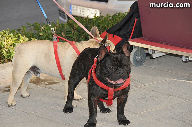 Concurso canino Fiestas de Santiago 2009 - 11